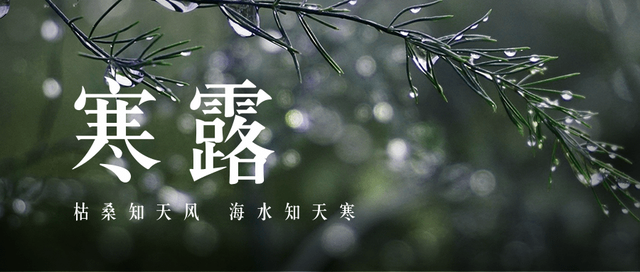 寒露|裊裊涼風(fēng)動，凄凄寒露零